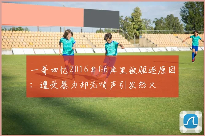 一哥回忆2016年G6库里被驱逐原因：遭受暴力却无哨声引发怒火