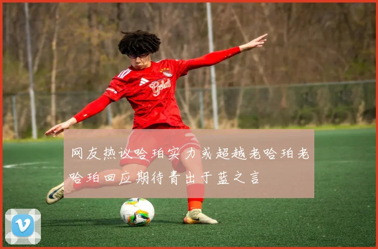 网友热议哈珀实力或超越老哈珀老哈珀回应期待青出于蓝之言